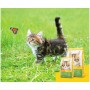 Josera Kitten grainfree сухий корм для кошенят 2 кг