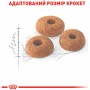 Royal Canin Fit сухий корм для домашніх і вуличних котів 10 кг