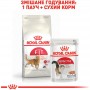 Royal Canin Fit сухий корм для домашніх і вуличних котів 10 кг
