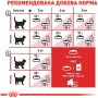 Royal Canin Fit сухий корм для домашніх і вуличних котів 10 кг