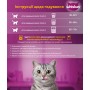 Whiskas сухий корм для котів з яловичиною 14 кг