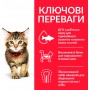 Hill's Science Plan Kitten сухий корм для кошенят з куркою 1.5 кг