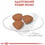 Royal Canin Mini Puppy сухий корм для цуценят 8 кг