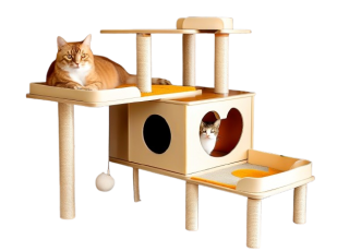 Котячі дерева